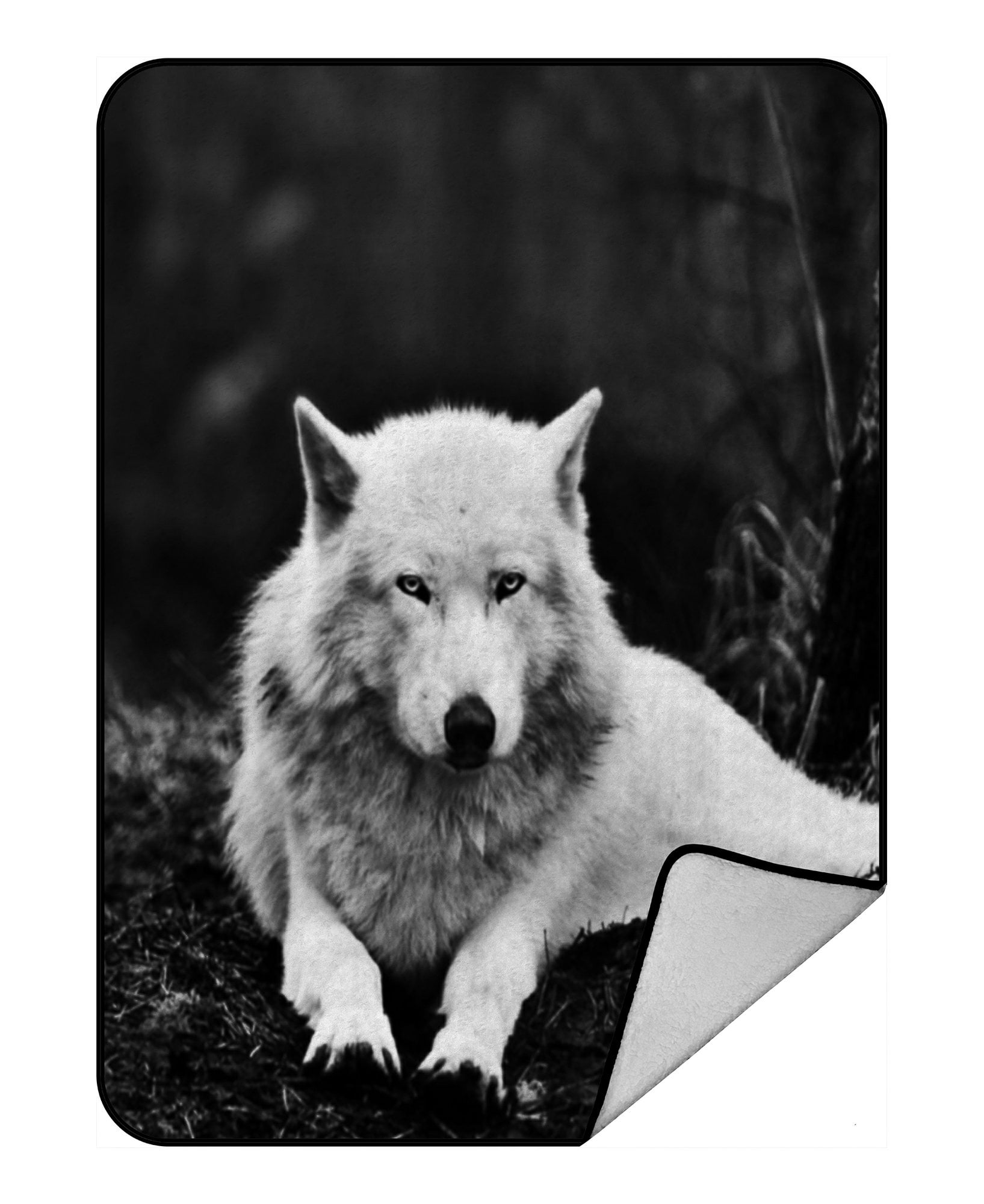 GCKG Wolves White Wolf Animals Fleece Blanket Crystal Velvet Front and Lambswool Sherpa Fleece