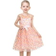 thumbnail image 3 of Girls Dress Pink Rainbow Polka Dot Pleated Tulle Party Gown Sleeveless 12 Years, 3 of 7