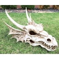 thumbnail image 2 of Ebros Large Elder Dragon Skull Statue Legendary Erathia Fossil Skeleton 18"L Figurine, 2 of 7
