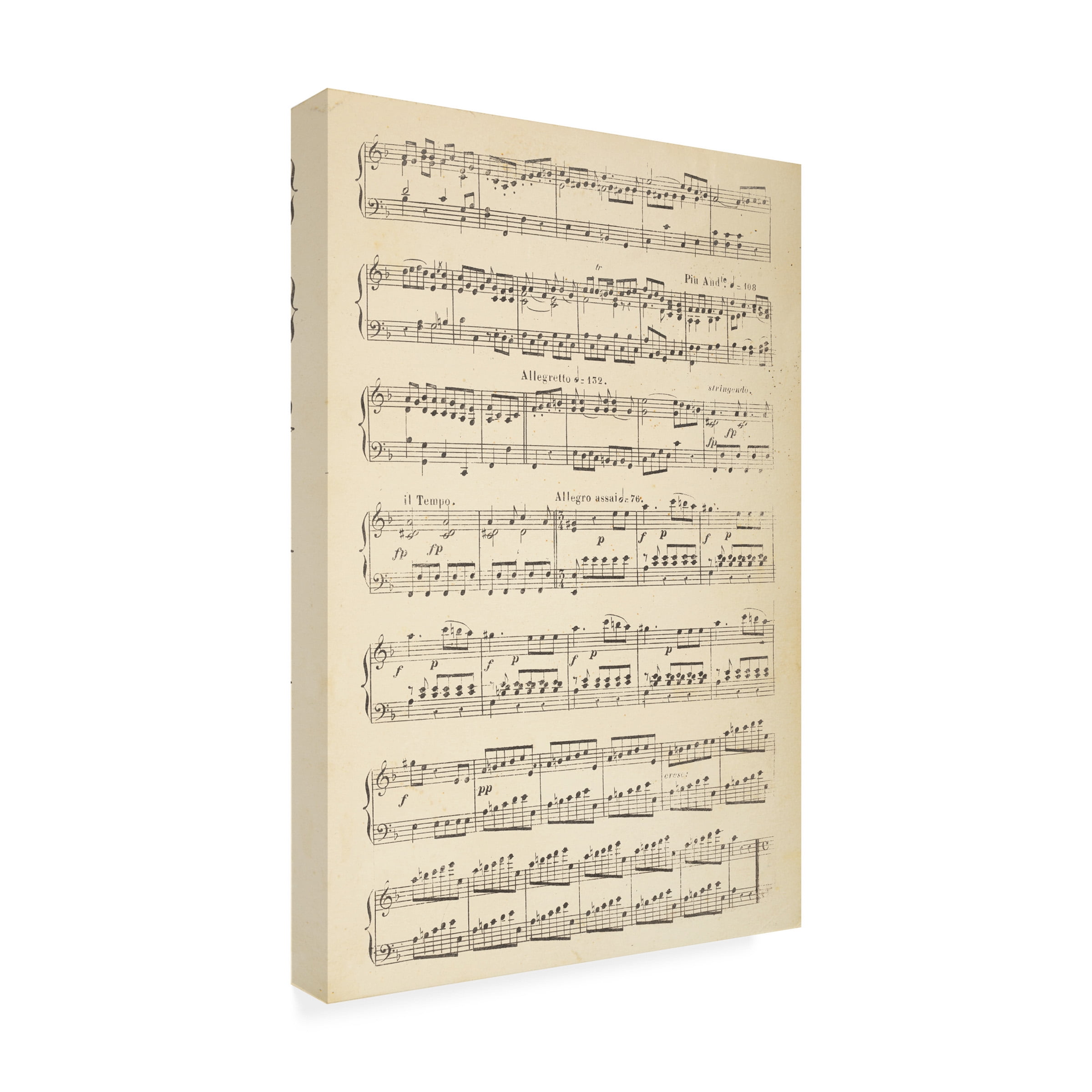 Trademark Fine Art 'Musical Notes II' Canvas Art by Wild Apple Portfolio