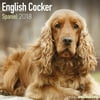 English Cocker Spaniel Calendar 2018 (US) - Dog Breed Calendar - Wall Calendar 2017-2018