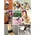 thumbnail image 4 of No Pull Dog Pet Strong Padded Strap Harness Control Vest Reflective, xs s m Large xl Front Range Collar Chest Plate Harn Safety Pet Puppy, 4 of 9