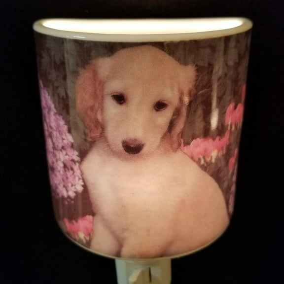 Dog Night Light