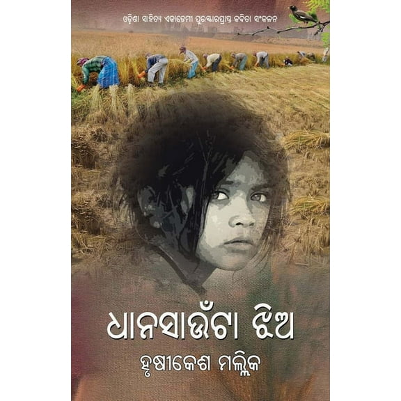 Dhana Saunta Jhia, (Paperback)