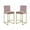 Pink, variant on Home Square 2 Piece Upholstered Velvet Counter Stool Set in Green