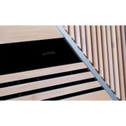 iFi Audio Aurora All-in-One Streaming Speaker