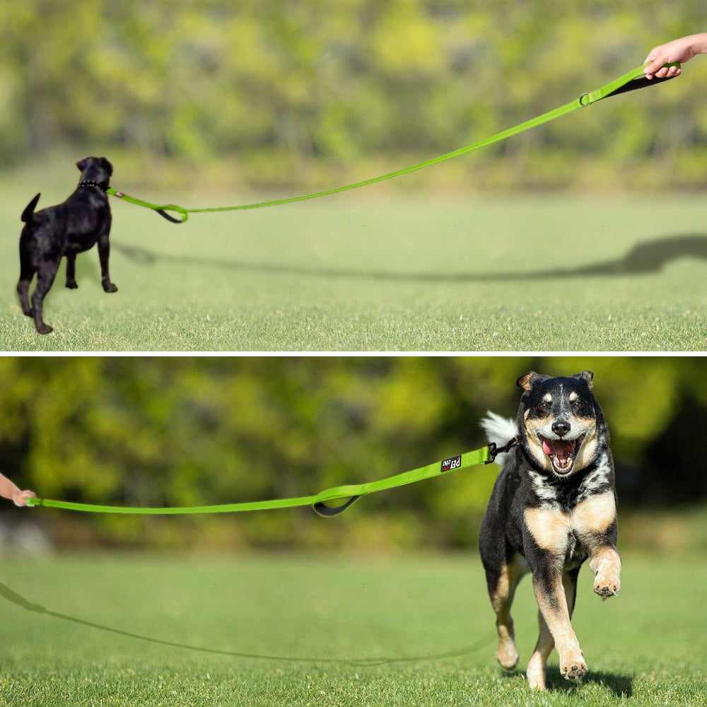 walmart long dog leash