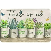 Succulent This is Us A Little Bit of Crazy A Little Bit of Loud and A Whole Lot of Love Non-Slip Absorbent Doormat Entrance Rug Inside Floor Mats Home Bedroom Kitchen Front Porch 16x24 Inch