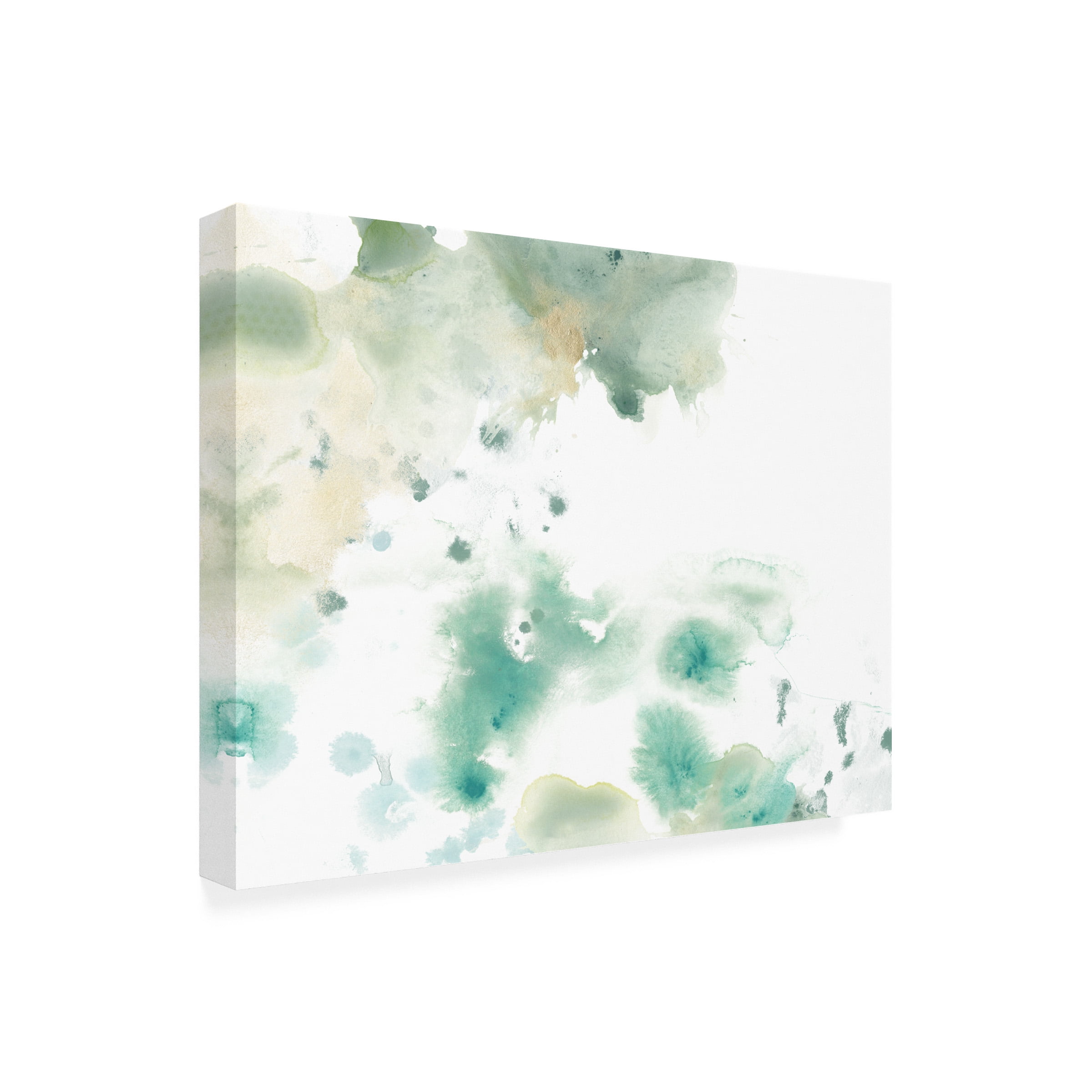 June Erica Vess 'Marble Seafoam I' Canvas Art