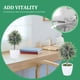 thumbnail image 4 of GOOHOCHY Planta artificial para decoración del hogar, bonsái con forma de bola falsa, adorno de escritorio, 4 of 8