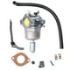 thumbnail image 2 of Desde China 799727 Carburador Para Briggs & Stratton 698620 690194 791886 499153 498061 Carb 14hp 15hp 16hp 17hp 18hp, 2 of 6