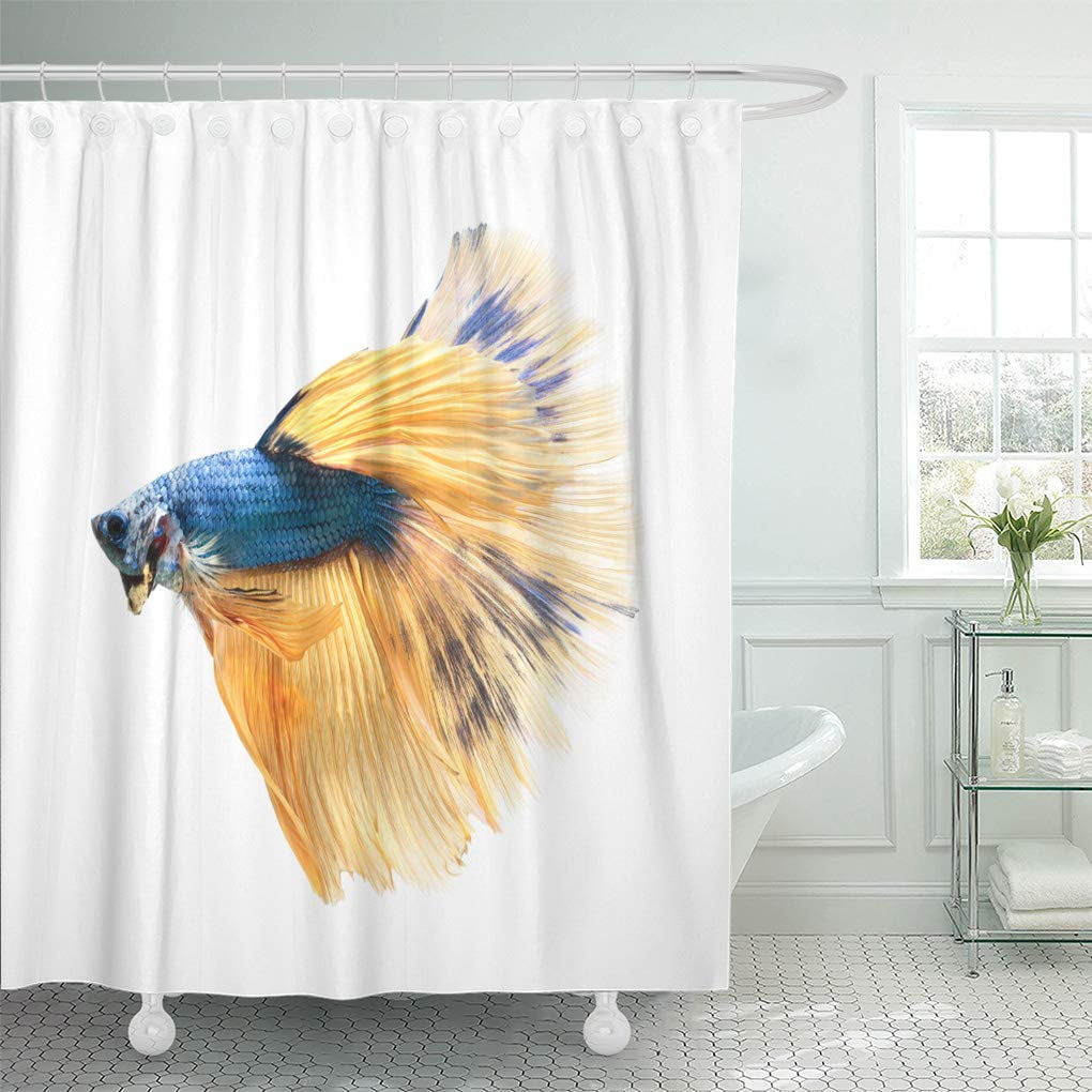 Yusdecor Colorful Nature Betta Fish Siamese Fighting Splendens Halfmoon Blue Bathroom Decor Bath Shower Curtain 66x72 Inch Walmart Canada