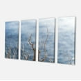 thumbnail image 2 of Branches d'Hiver Sans Feuilles - Impression sur Toile de Paysage, 2 of 3
