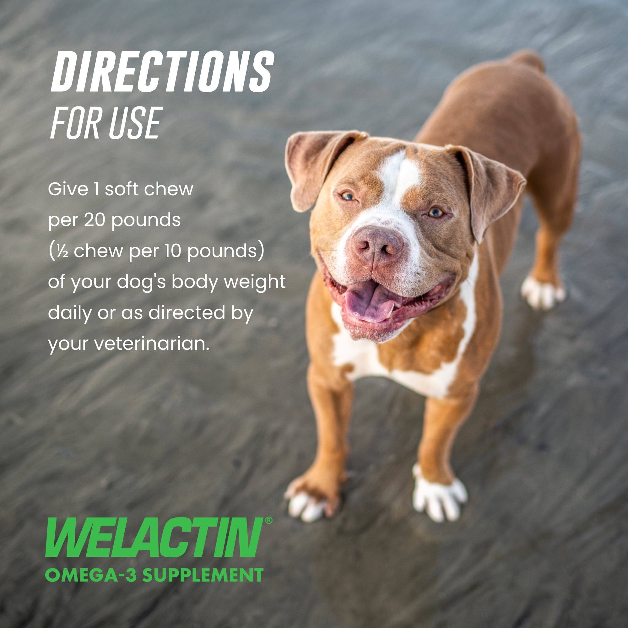 Nutramax Welactin Daily Omega-3 Supplement For Dogs, Skin & Coat Health Plus Overall Health, 60 Soft Chews