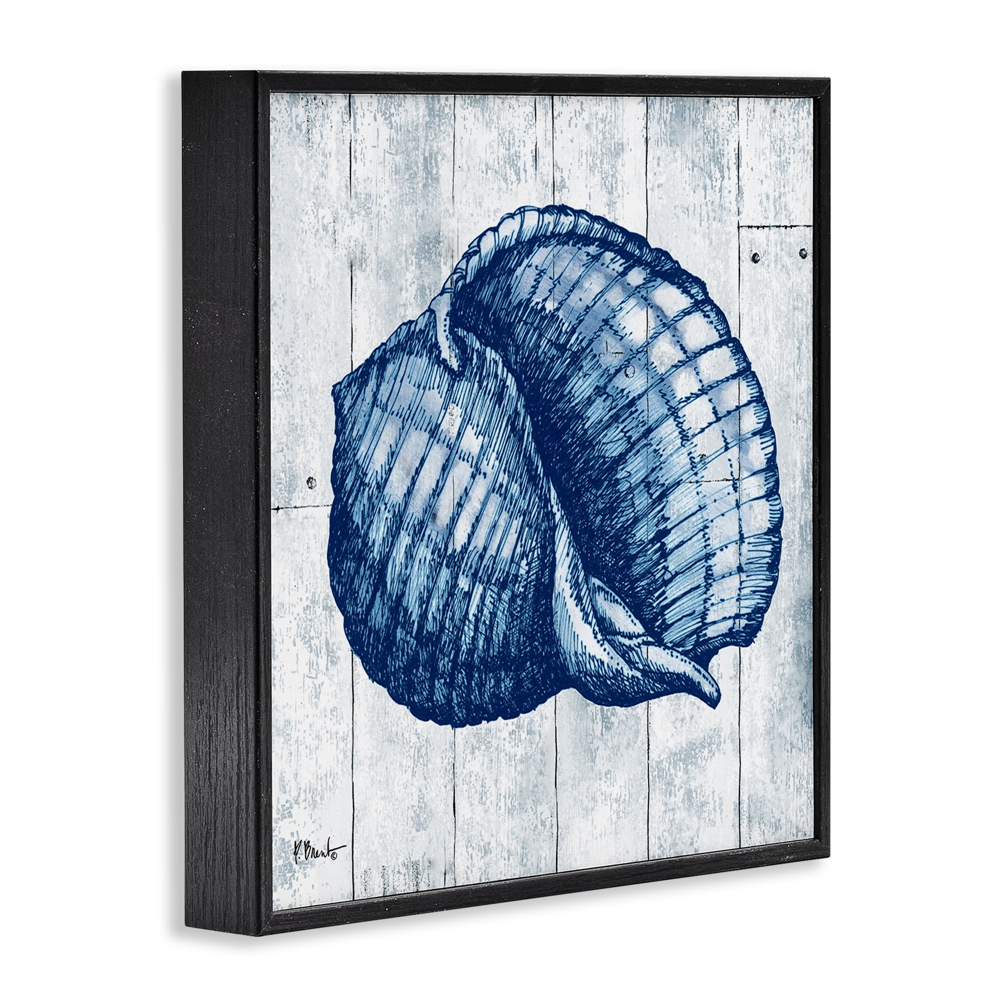 Stupell Industries Coastal Timberland Shell Black Framed Giclee Art, design by Paul Brent
