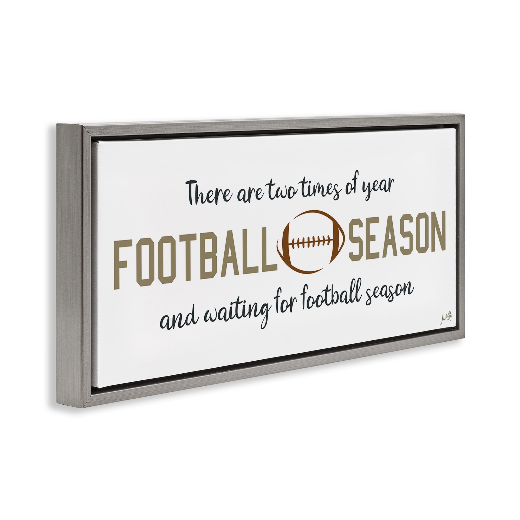 Stupell Industries Two Times of Year Sports Painting Gray Floater Framed Art Print Wall Art, 31 x 14