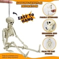 thumbnail image 5 of Halloween Posable Skeleton Decorations 90cm Life Size Human Skeleton Ornament with Movable Joints Hanging Skull Decor for Haunted House Yard Indoor Outdoor Halloween Party Decoration, 5 of 7