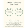 thumbnail image 3 of Little Star Organic Toddler Boy 7Pk Boxer Brief, Size 2T-5T, 3 of 8