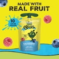 thumbnail image 3 of GoGo squeeZ No Sugar Added Blue Raspberry SlymeZ Fruit Gel On The Go, 3.5 oz (10 Pack), 3 of 9