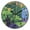Black, variant on 9.84in Vibrant Garden Scene PVC Canvas Wall and Table Clock with Canvas Texture, Black or Gold Hands