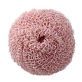 thumbnail image 2 of Brosse à Récurer les Casseroles Robuste avec Poignée Design Ergonomique Taille Compacte Brosse de Nettoyage Portable Outil de Cuisine, 2 of 8