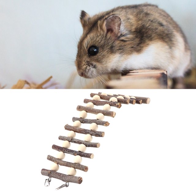 Parrots Ladder, Flexible Fun Safe Hamster Wooden Ladder Attractive With Beads For Small Pets