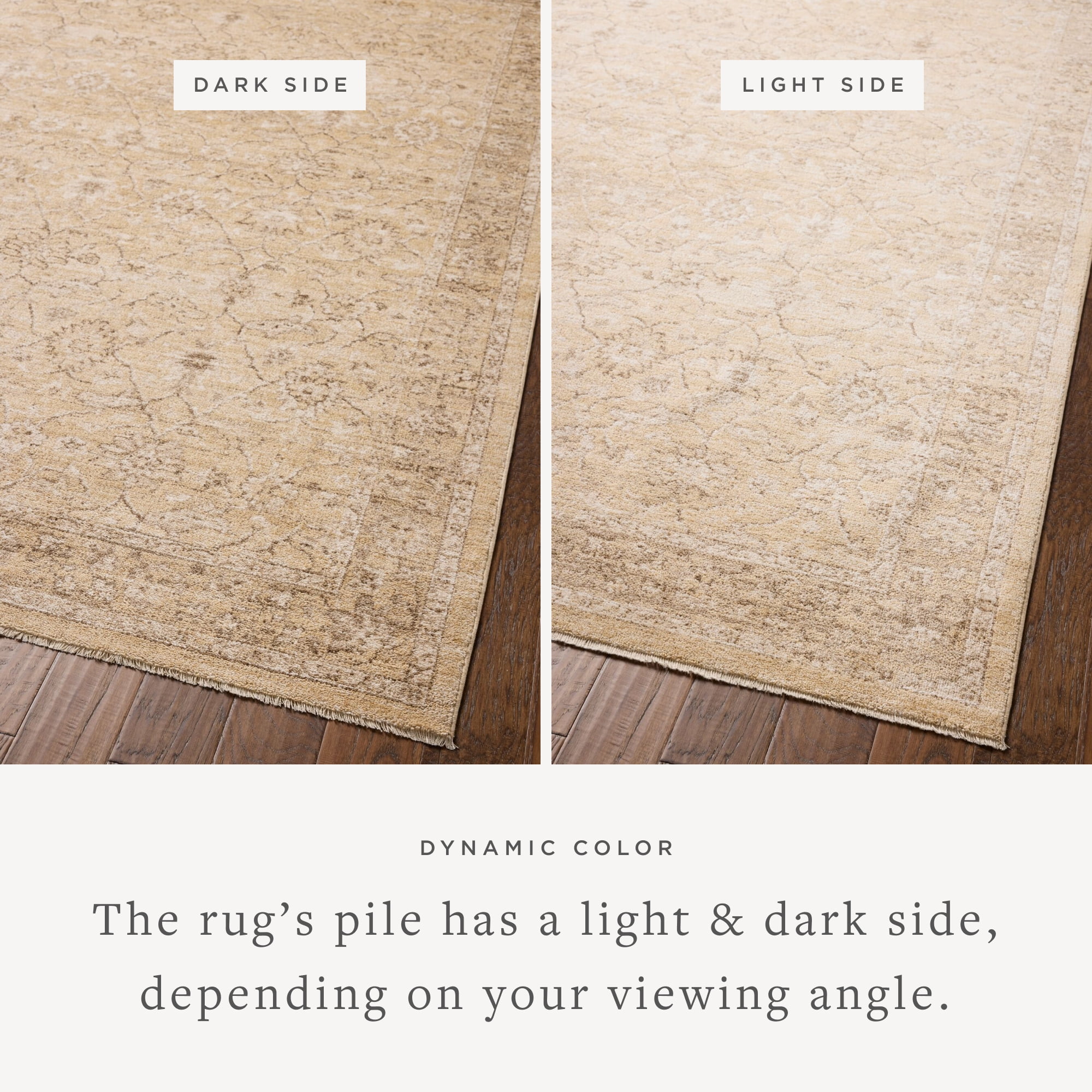 Chris Loves Julia x Loloi Palma Wheat / Bark 11'-6" x 15'-7" Area Rug