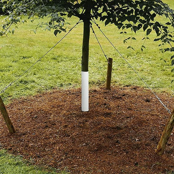 Plastic Tree Bark Protector Warp,Tree Trunk Protector Plastic Plastic Tree Bark Protector Plastic Tree Trunk Protectors High-End Performance
