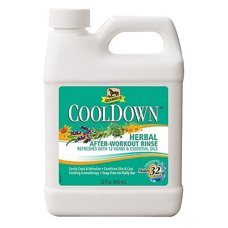 Absorbine CoolDown After-Workout Rinse (Best Shower After A Workout)