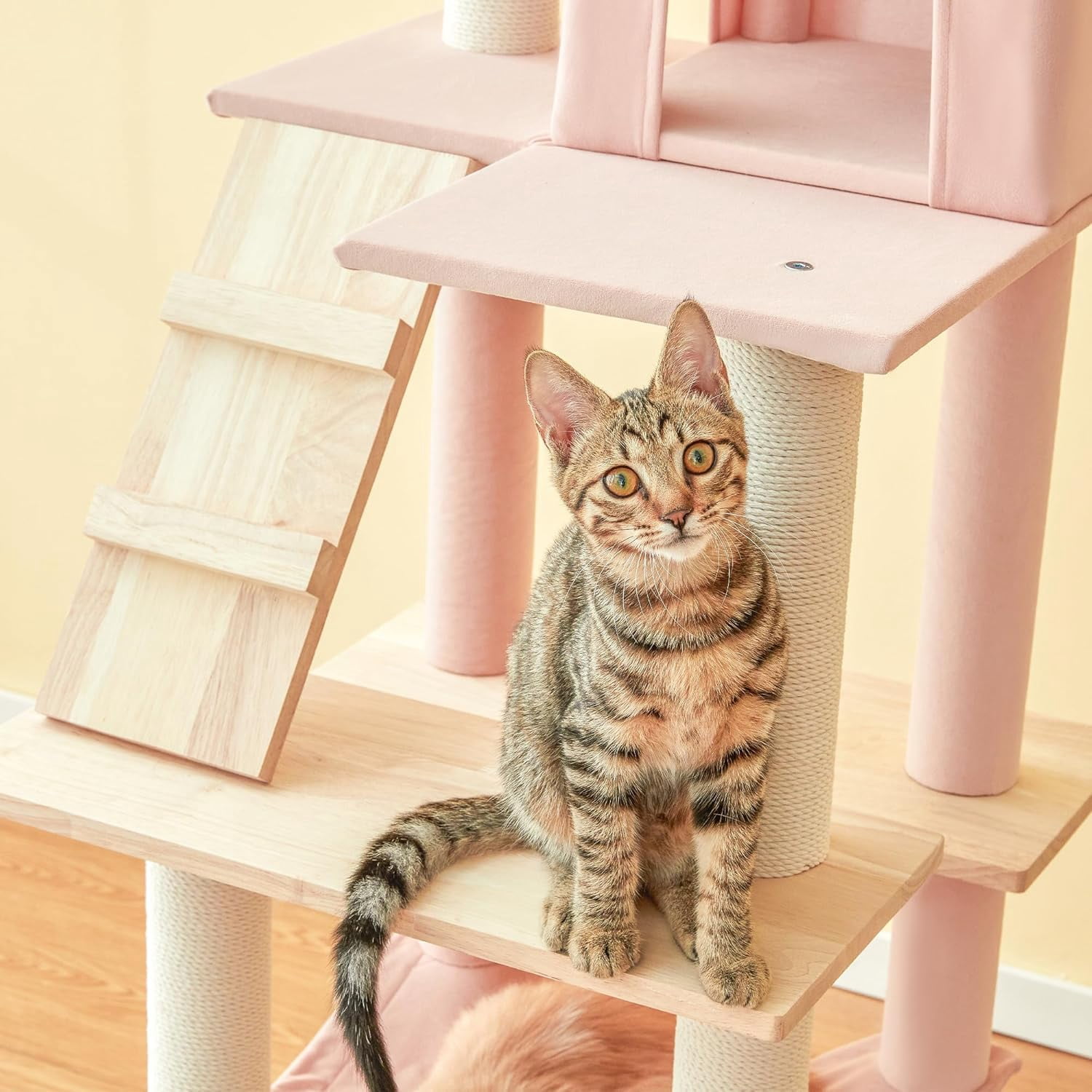 LEHOME Pink Modern Cat Tree for Indoor Cats, 63.8-Inch Multi-Level Tall Cat Tower with Cat Condo, Hammock, Woden Top Perch, Scratching Posts for Kittens & Adult Cats