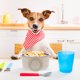 thumbnail image 4 of OUNONA Para Perros En Inoxidable Con Colgante Antideslizante, 4 of 6