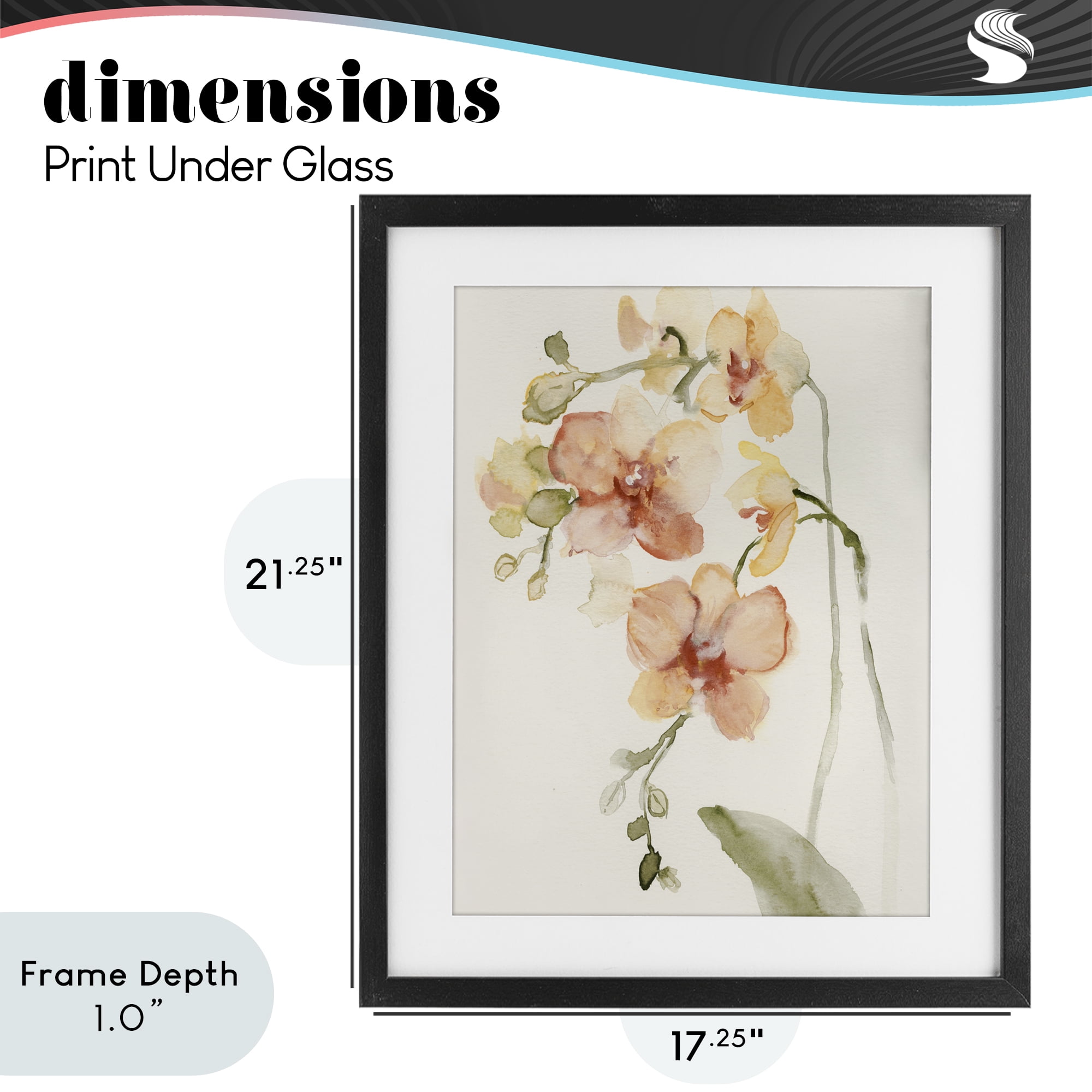 Stupell Industries Peach Orchid in Bloom Black Framed Print Under Glass, design by Victoria Barnes