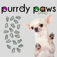 thumbnail image 1 of 6 Month Supply - Purrdy Paws Silver Glitter Soft Nail Caps for Small Dog Nails - Extra Adhesives, 1 of 1