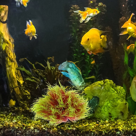 ELAYARD Realistic Artificial Aquarium Plants for Fish Tanks, and Versatile Decor for Freshwater and Aquariums