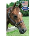 thumbnail image 3 of Derby Originals American Elegance Series Triple Stitch Leather Halter, 3 of 3