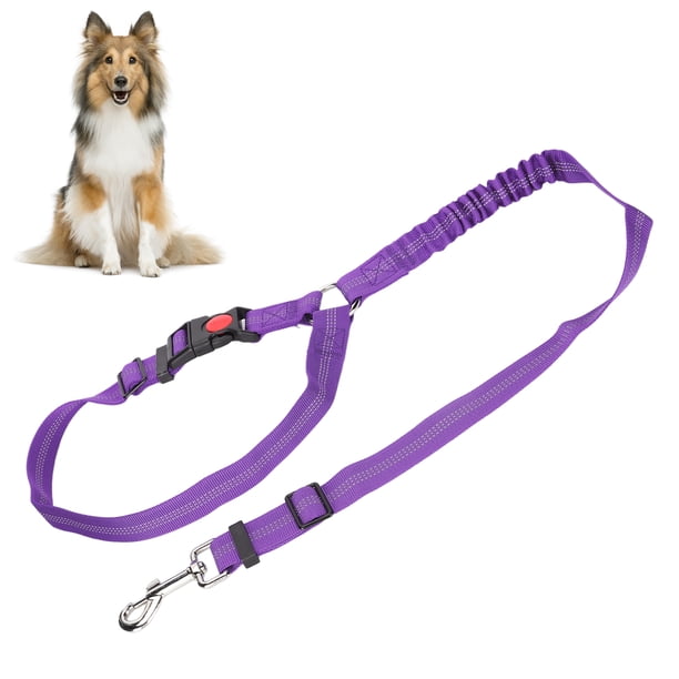 Restricción Para Perros, Cinturón De Seguridad Para Perros, Reflectante, Ajustable Para Caminar Con Perros Al Aire Libre Para Evitar Que Los Perros Se Pierdan