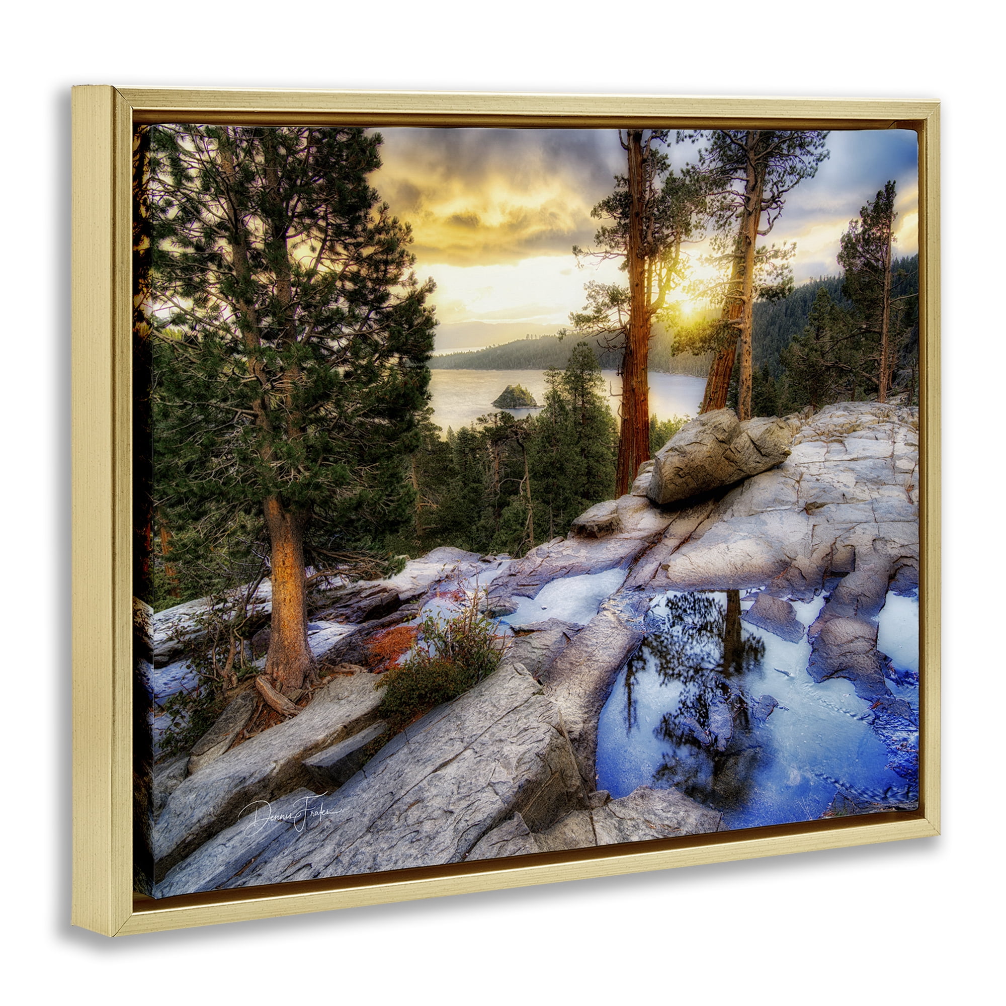 Stupell Industries Forest Cliff Landscape Landscape & Nature Painting Gold Floater Framed Canvas Art Print Wall Art, 31 x 25