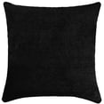 thumbnail image 1 of Home Trends Pillow Black 2-pack 20X20, 1 of 5