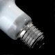 thumbnail image 5 of Uva+uvb Reptile Lamp for Turtles Lizards and Amphibians with Temperature Controller, 5 of 5