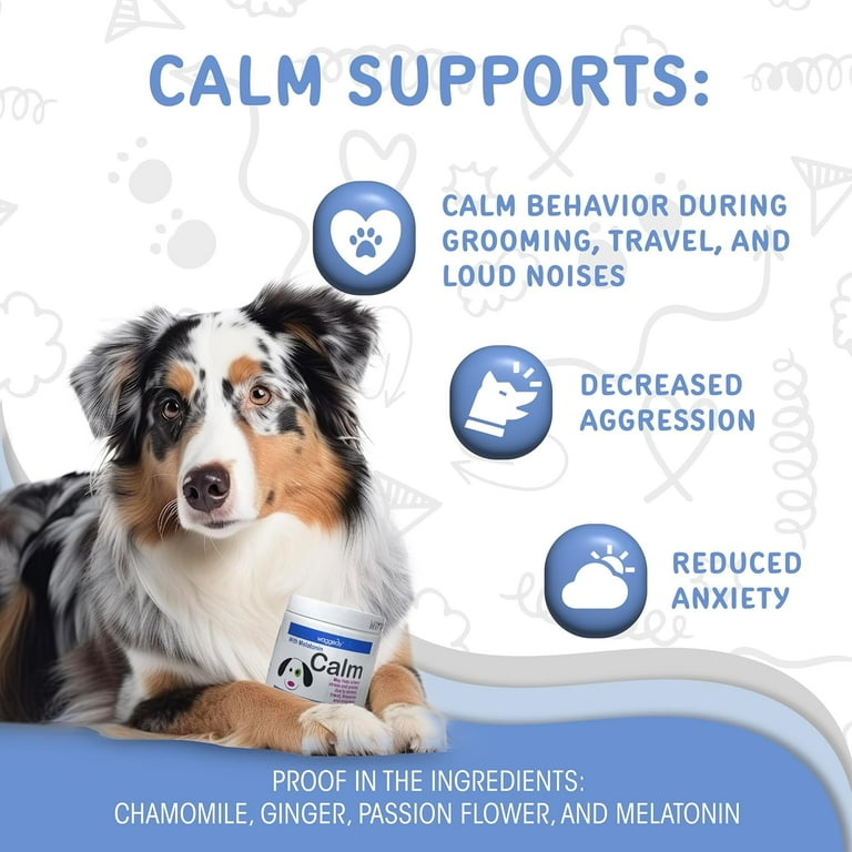 Melatonin for dogs walmart discount