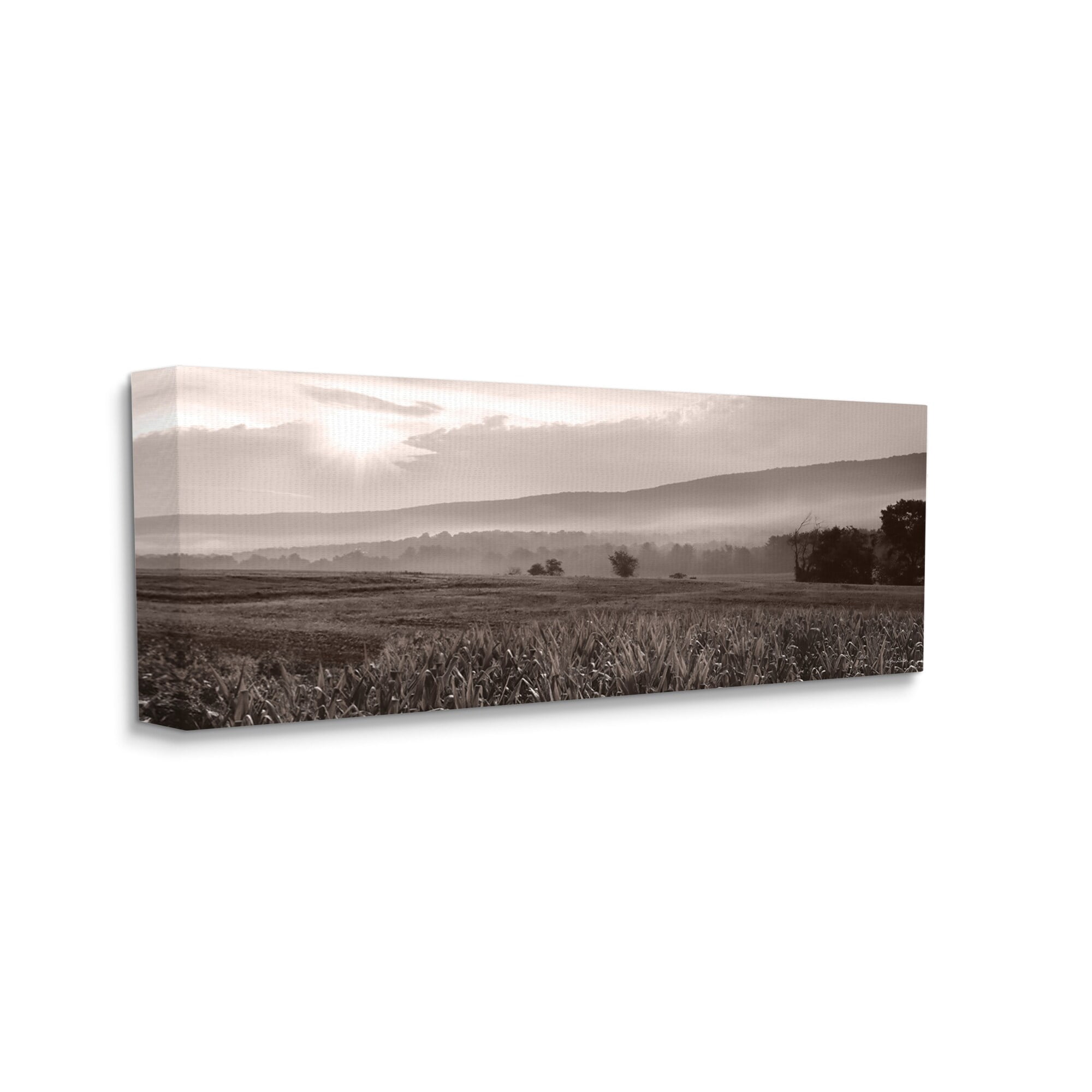 Stupell Industries Agricultural Countryside Farm Emerging Sun Rays Photography Photograph Gallery Wrapped Canvas Print Wall Art, Design by Lori Deiter