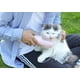 thumbnail image 5 of 458ml Portable Dog Water Bottle Travel Pet Drinking Fountain Outdoor Chihuahua Dog Feeding Bowl, 5 of 5