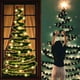 thumbnail image 1 of Christmas Decorative Rattan With White Shade 5 Meter 50 Bulbs Christmas Tree Thanksgiving Decoration Battery Operated Batteries Not Included, 1 of 9