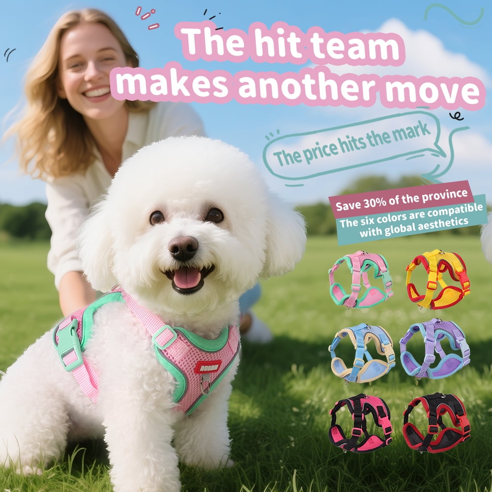 Small Dog and Cat&nbsp;Vest Harness Leash Set,Soft Breathable Mesh Adjustable Jacket&nbsp;for Puppy Fat Cat Outdoor Walking,with Reflective Strip
