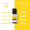 thumbnail image 3 of Aceite esencial Revive Lemon, 120 ml, 100% puro, grado terapéutico, 3 of 5