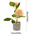 thumbnail image 3 of Potted plant*1 Clearance! Two Small Bonsai Living Room Decoration Desk Desk Home Simulation Flower Decoration, 3 of 4