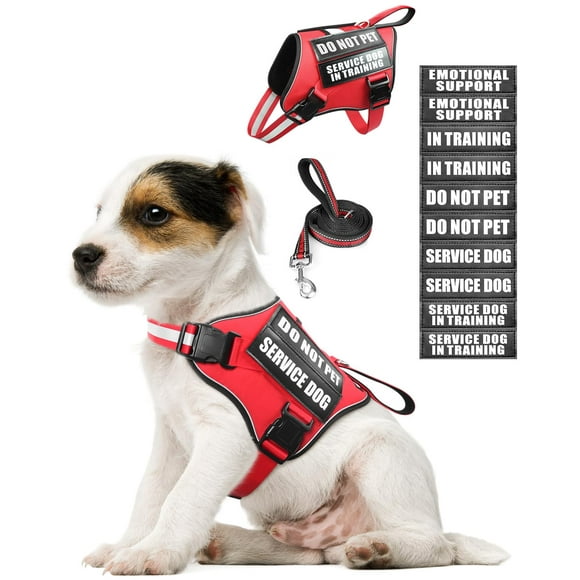 Set de chaleco, arnés y correa para perros MOOGROU para perros de servicio Red XS
