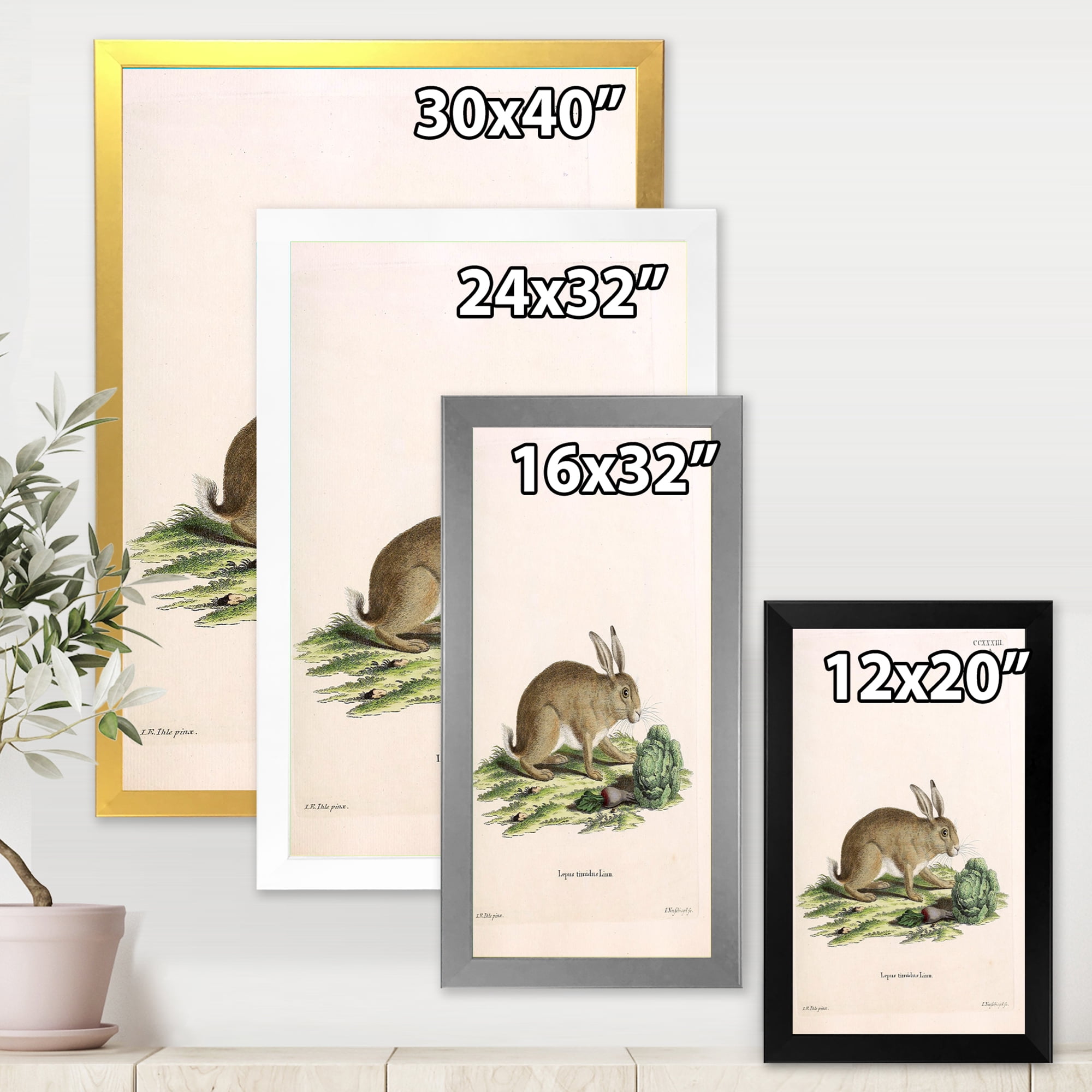 Designart 'Ancient Rabbits In Earth Tones' Farmhouse Framed Art Print