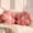 pink 2Pcs, variant on 2pcs Soft Plush Daisy Flower Throw Pillow - Cozy Decorative Cushion for Bed & Sofa,White/Pink, 13.7inch,Polyester Fabric,Adorable Floral Design,Bed Accessory,Plush Pillow Decor,Soft Polyester Fabric