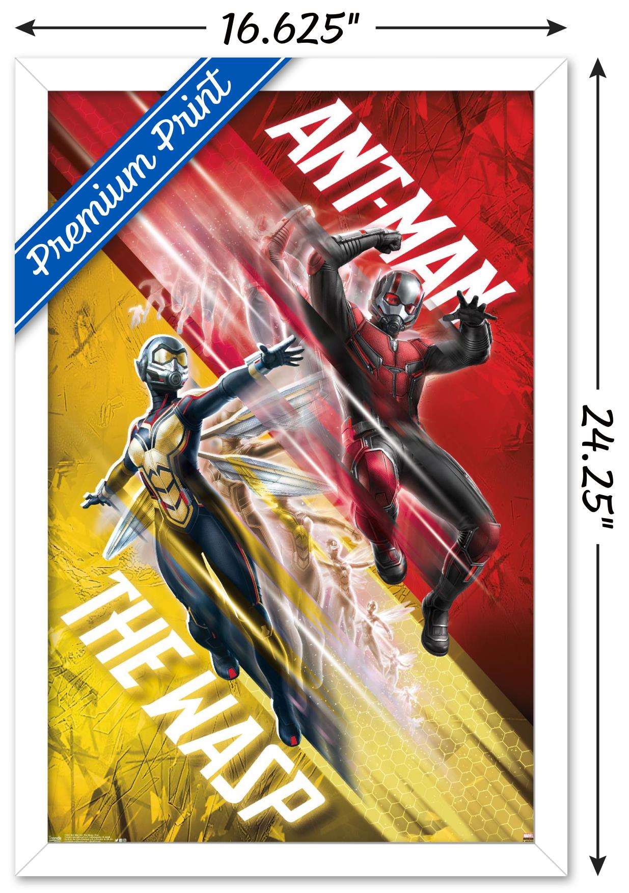 Marvel Cinematic Universe - Ant-Man and the Wasp - Duo Wall Poster, 14.725" x 22.375", Framed